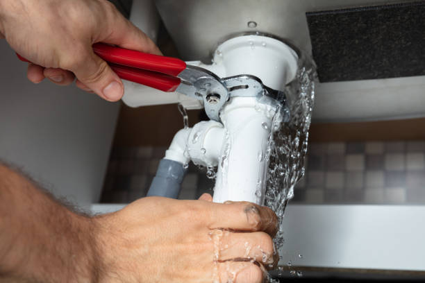 Best Dehumidification and Moisture Control in USA